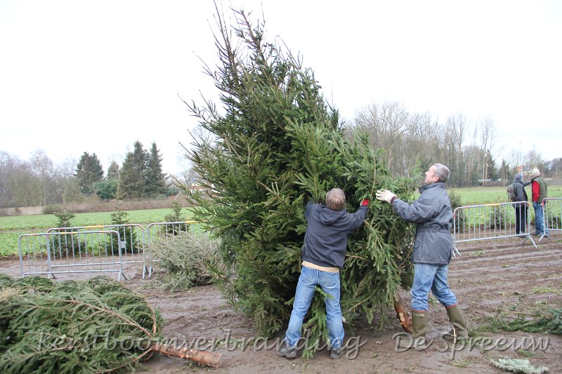 IMG_2074.JPG - oeps.... blijkbaar wat te veel bomen langst rechts