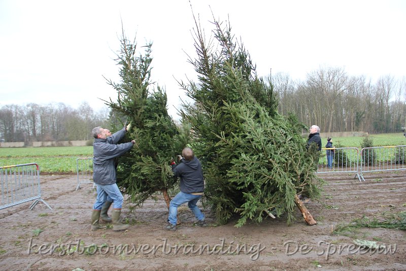 IMG_2075.JPG - rap, langst deze kant er nog eentje bij plaatsen