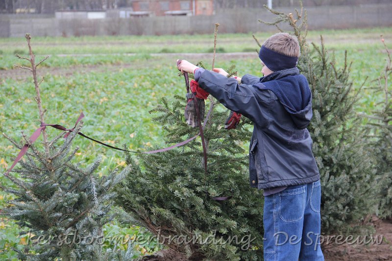 IMG_2076.JPG - en terwijl hij zjin handschoenen aan de takken hing als versiering...