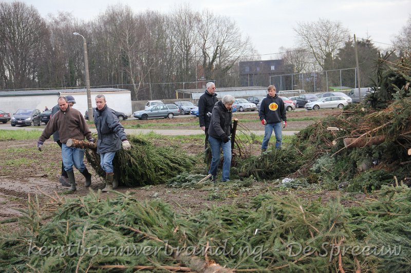 IMG_2087.JPG - uit alle macht en verenigde krachten worden de bomen aangesleurd