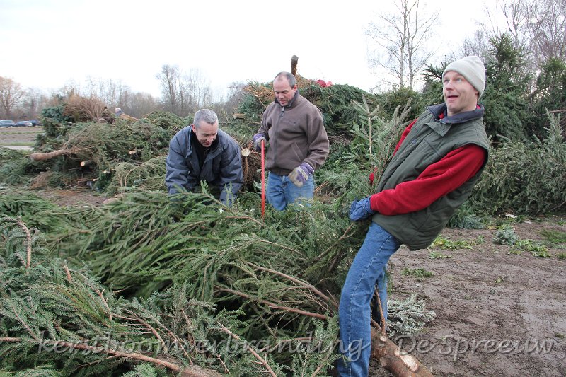 IMG_2095.JPG - ik denk dat ze soms iets verkeerd afzaagden!