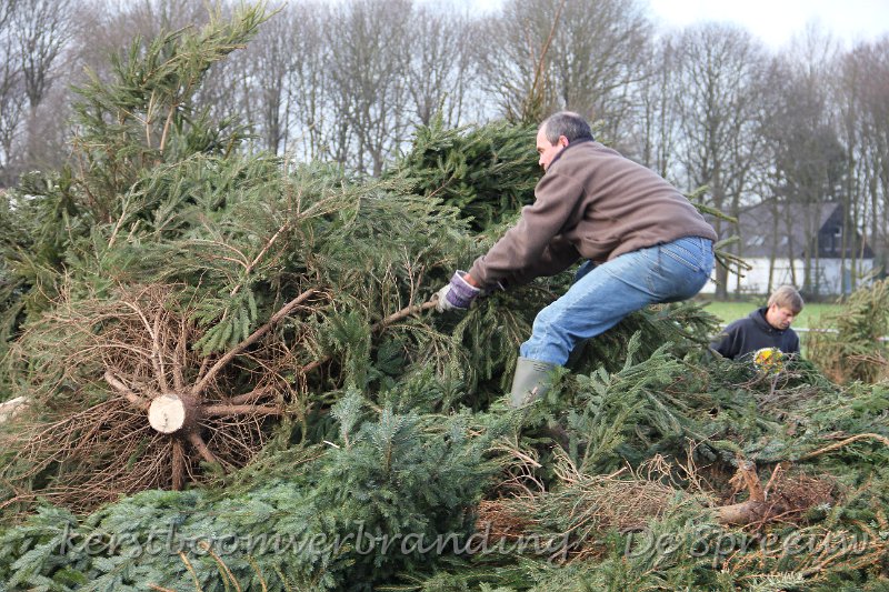 IMG_2151.JPG - de volgende boom
