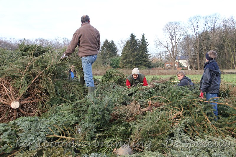 IMG_2152.JPG - mannen, kom eens helpen, die boegeert hier van geen kanten