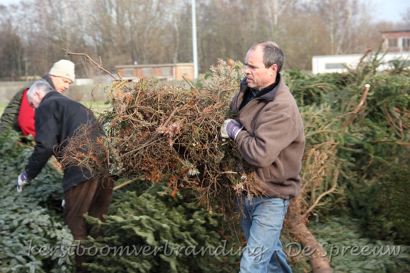 IMG_2157.JPG - dat leek mij eerder nen boom van verleden jaar