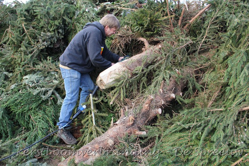 IMG_2179.JPG - en nu die stam zelf