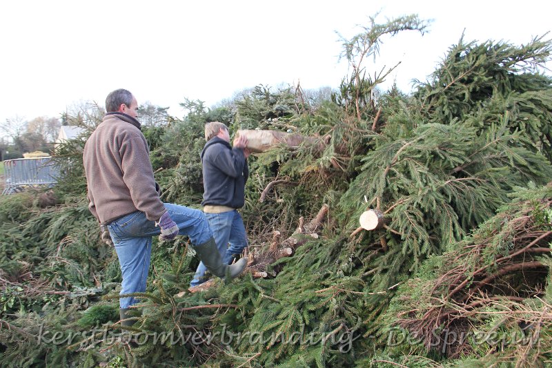IMG_2181.JPG - hij komt precies al wat losser