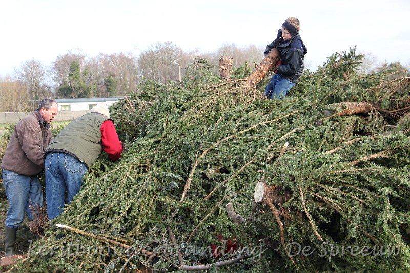IMG_2207.JPG - ondertussen waren de zagers de rest van den hoop wat aan het opkuisen
