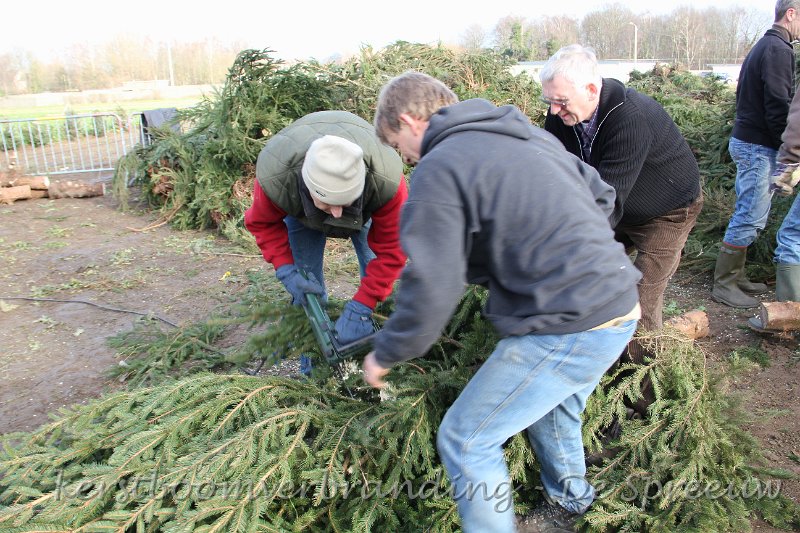 IMG_2211.JPG - hier wat takjes en stammetjes ...