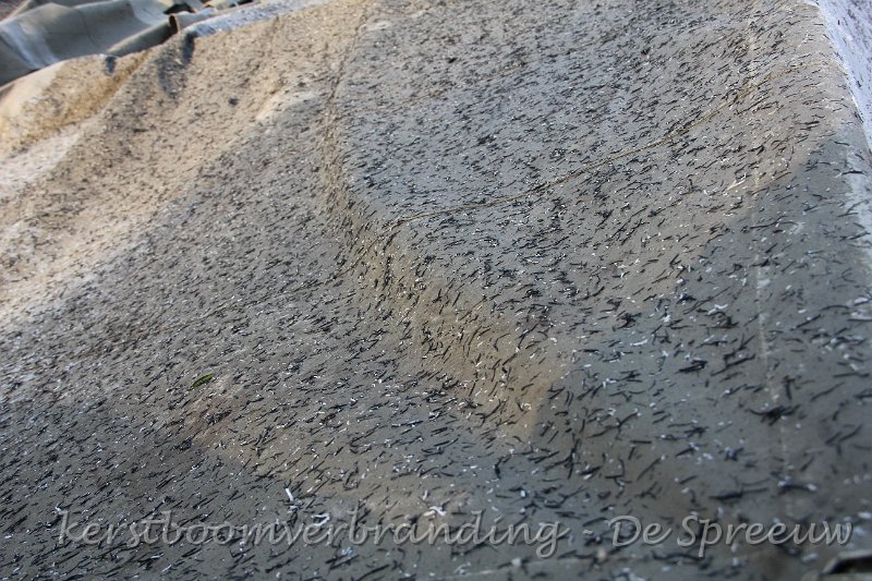 IMG_2911.JPG - zou dit zwarte sneeuw zijn?