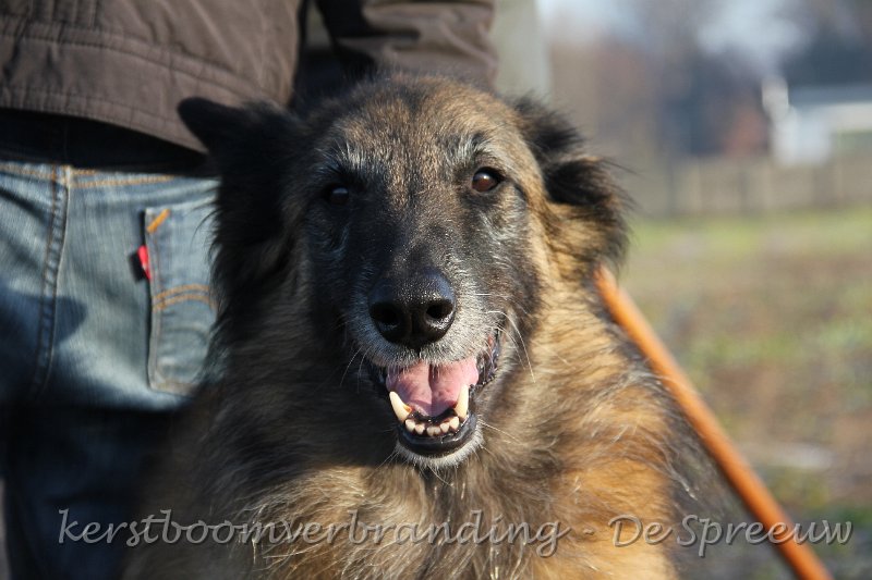 IMG_2919.JPG - hopelijk laten ze binnenkort nog wat speelwei over