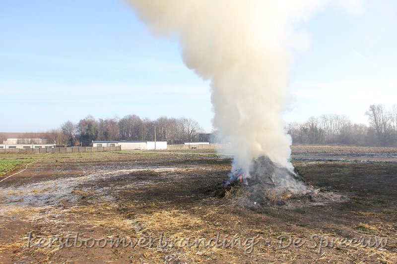 IMG_2937.JPG - verdwijnt onze spreeuwenhoek binnenkort zo in de mist?