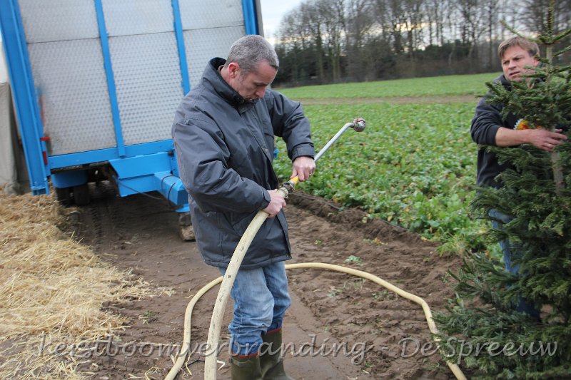 IMG_2394.JPG - we zullen die plantjes maar wat water geven