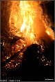kerstboomverbranding_deSpreeuw2012-004