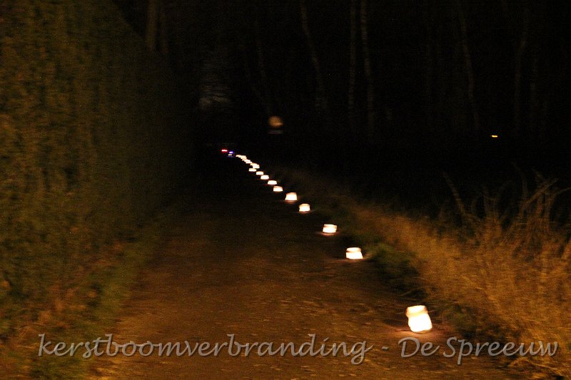 IMG_2460.JPG - de misterieuze bosweg met zijn lichtspoor