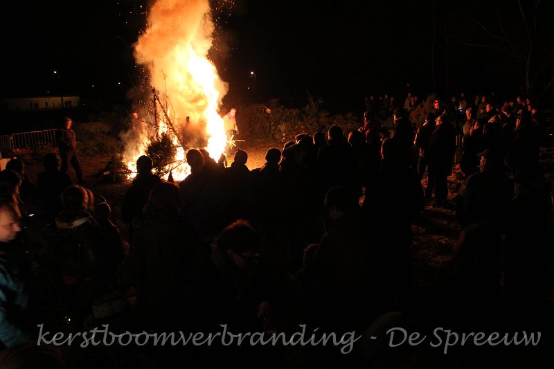 IMG_2538.JPG - tientallen rijen dik