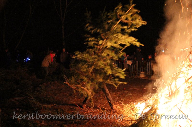 IMG_2553.JPG - denk nu niet dat die boom zelf naar het vuur is gelopen...