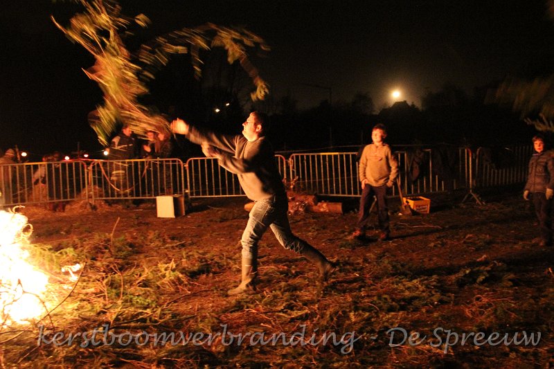 IMG_2701.JPG - die zijn takken ontglipten hem blijkbaar