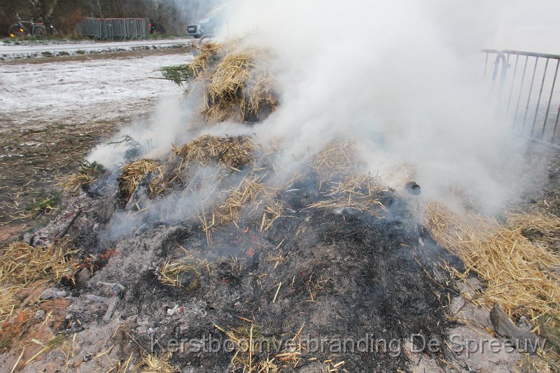 IMG_4297.JPG - de laatste stuiptrekkingen, wie weet komt er ooit nog eens een nieuwe kerstboomverbranding?