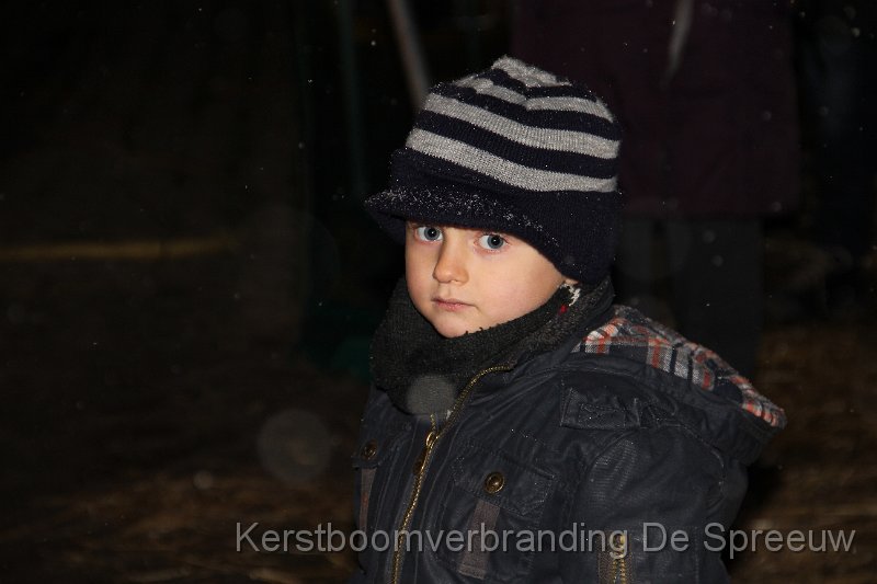 IMG_4070.JPG - vol verwondering