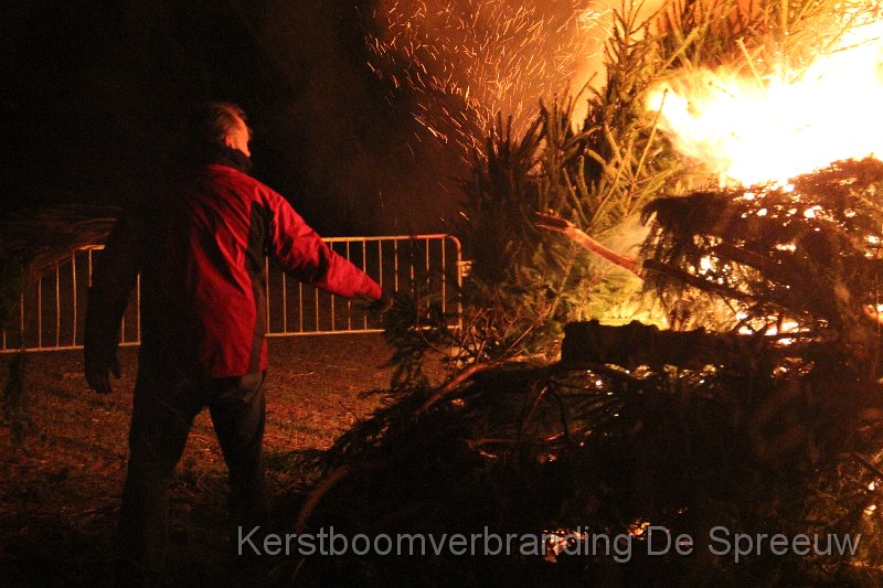 IMG_4085.JPG - zo uit de losse pol een boomke opsmijten