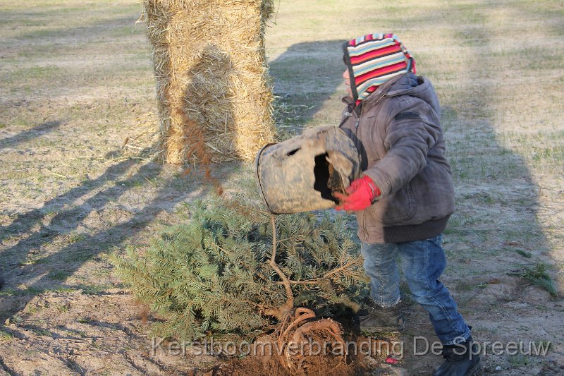 IMG_3473.JPG - kijk eens, ik heb dien boom van de pot gerukt