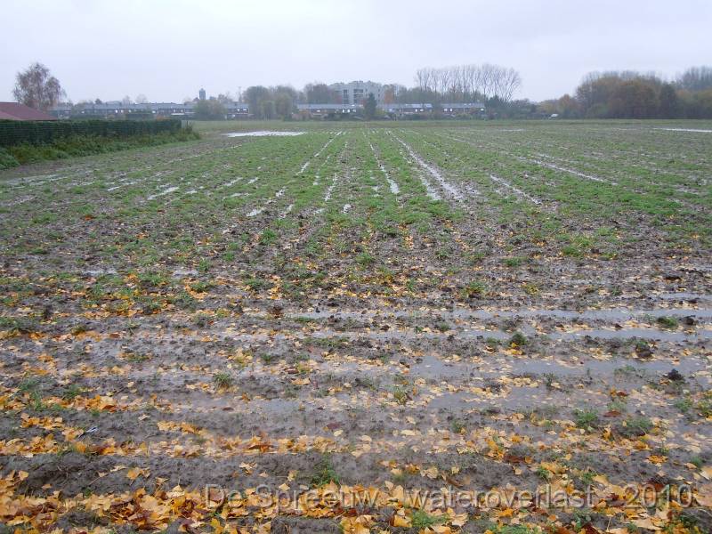 DSCN1530.JPG - Stuikheidestraat (richting vaart) - veld boer