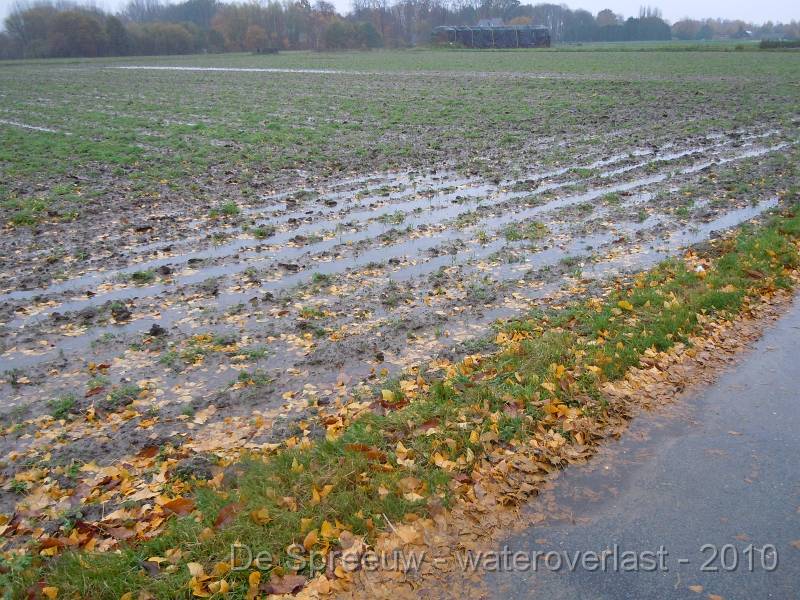 DSCN1531.JPG - Stuikheidestraat (richting vaart) - veld boer