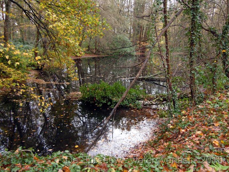 DSCN1570.JPG - Struikheidestraat (bufferbos)