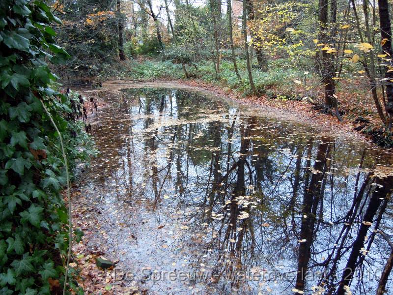 DSCN1571.JPG - Struikheidestraat (bufferbos)