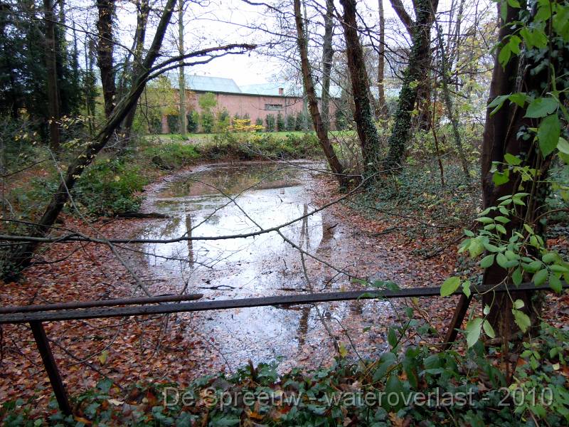DSCN1573.JPG - Struikheidestraat (bufferbos)