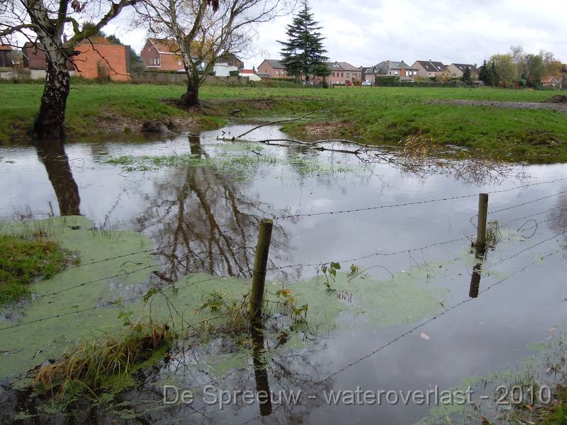 DSCN1598.JPG - Struikheidestraat (bomputten)