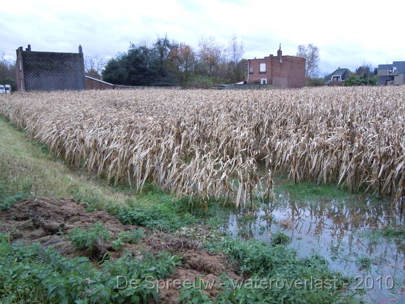 DSCN1606.JPG - Struikheidestraat (richting vaart)