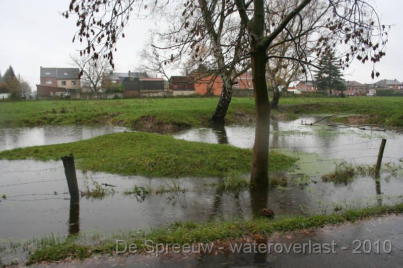 IMG_0439.JPG - Struikheidestraat (bomputten)