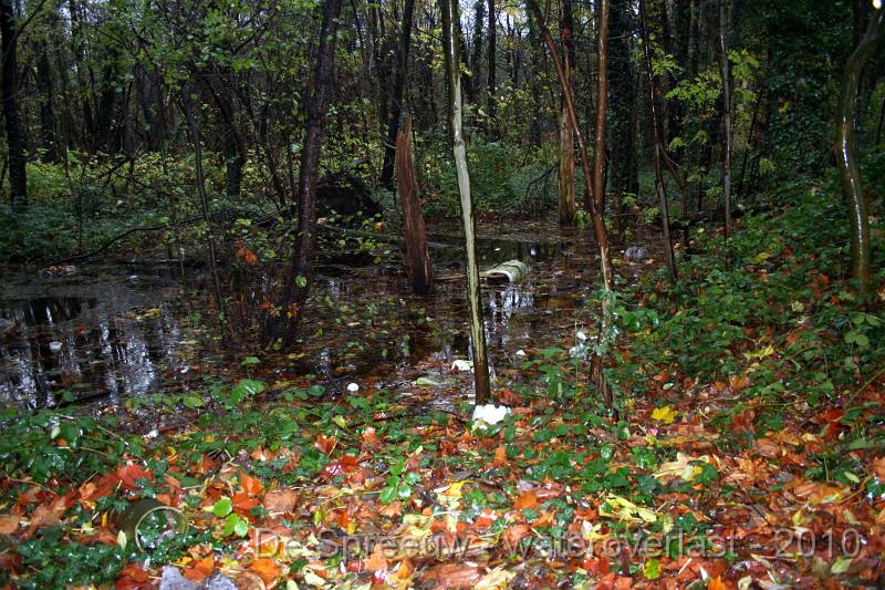 IMG_0479.JPG - Struikheidestraat (bufferbos)