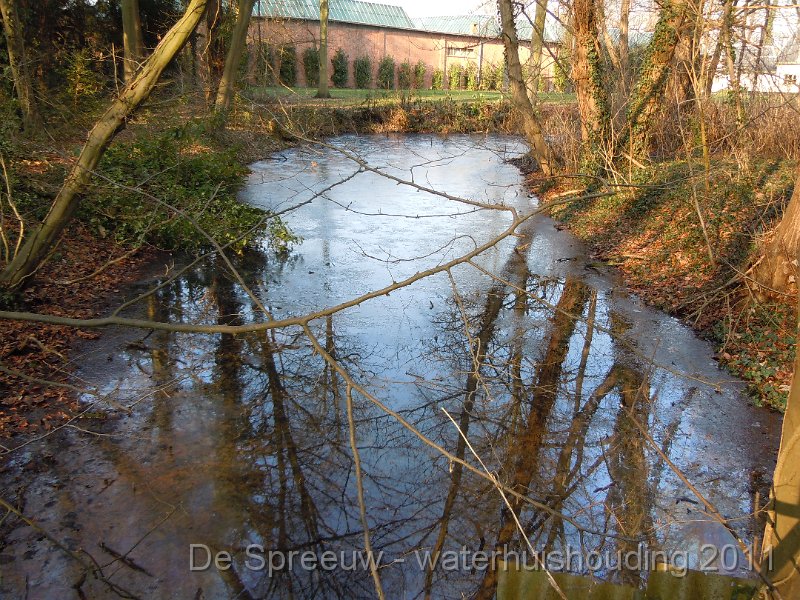 DSCN2093.JPG - Bufferbosbeek (Buffermoeras)