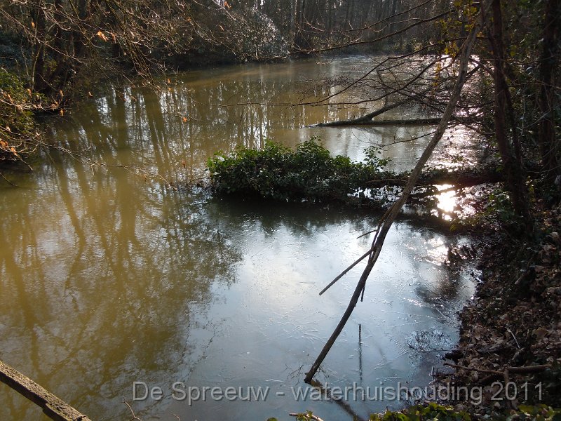 DSCN2096.JPG - Bufferbosbeek (Buffermoeras)