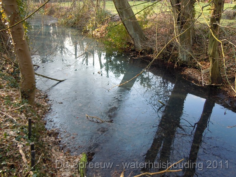 DSCN2098.JPG - ander bufferbosbeek