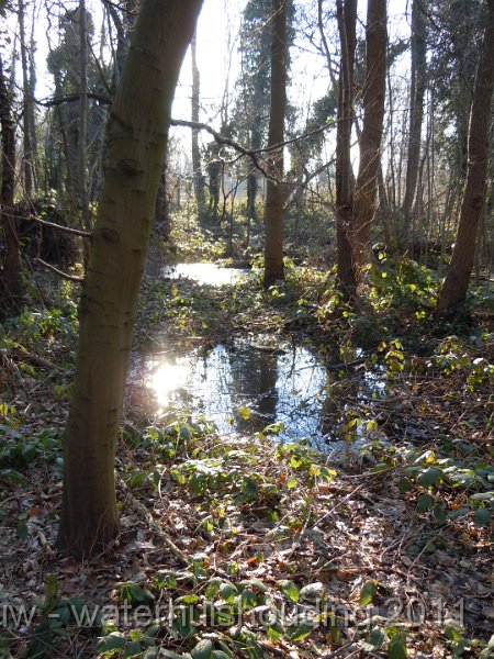 DSCN2103.JPG - Buffermoeras