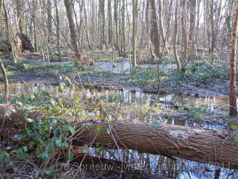 DSCN2105.JPG - Buffermoeras