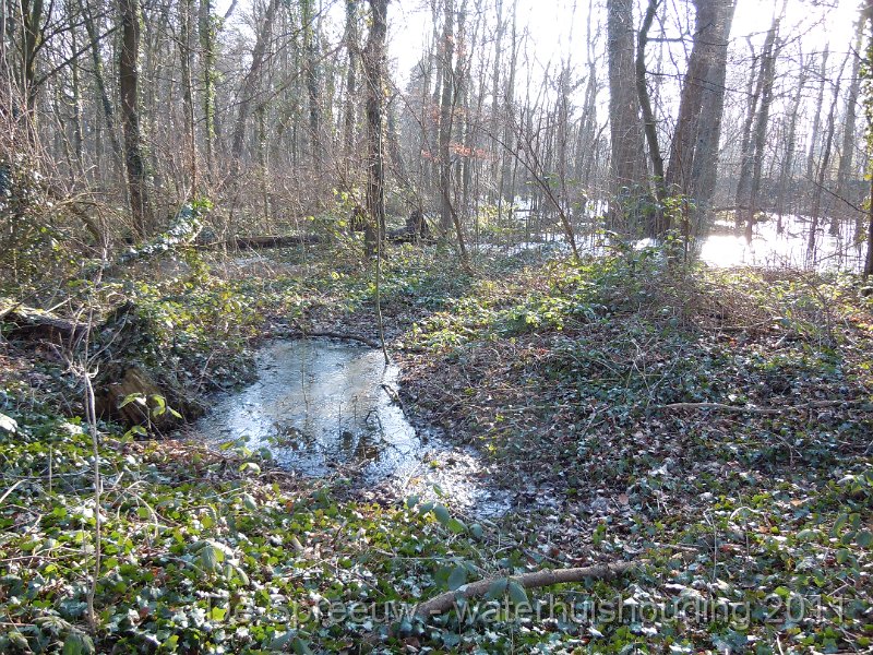 DSCN2112.JPG - Buffermoeras