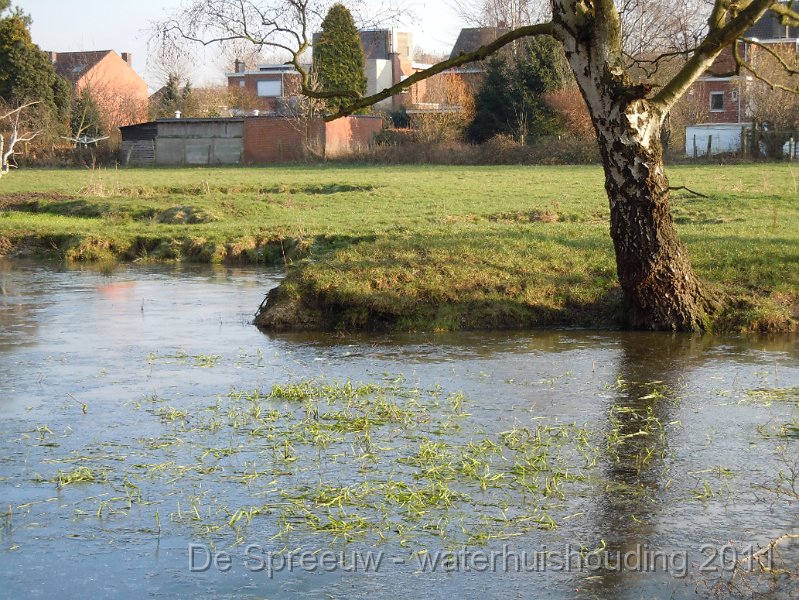 DSCN2121.JPG - Struikheidestraat (bomputten)