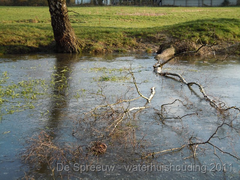 DSCN2122.JPG - Struikheidestraat (bomputten)