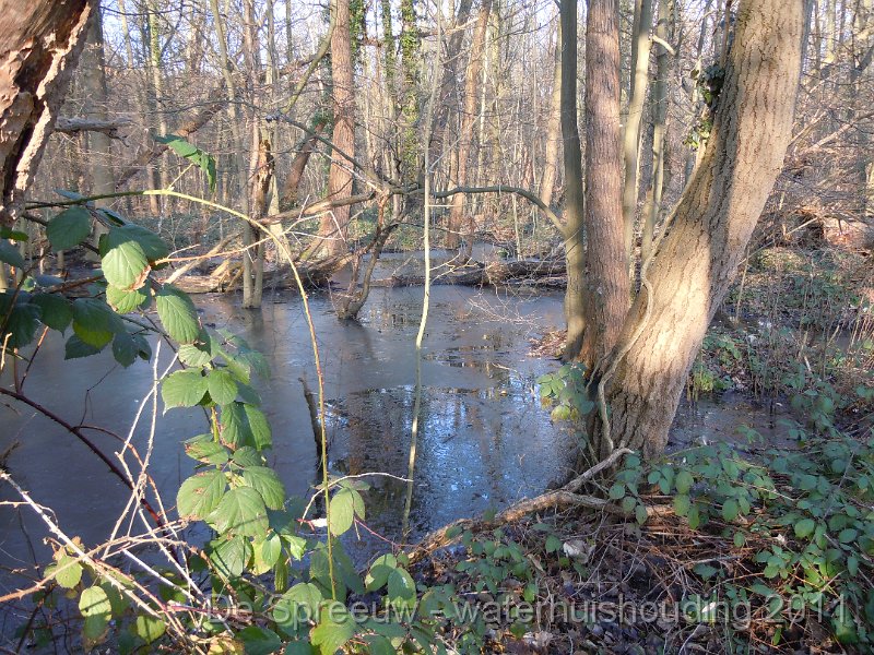 DSCN2130.JPG - bufferbos (vanaf kant Struikheidestraat)