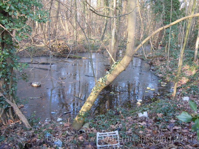 DSCN2136.JPG - Bufferbos (vanaf Struikheidestraat)
