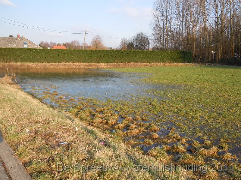 DSCN2139.JPG - Jan's vijver