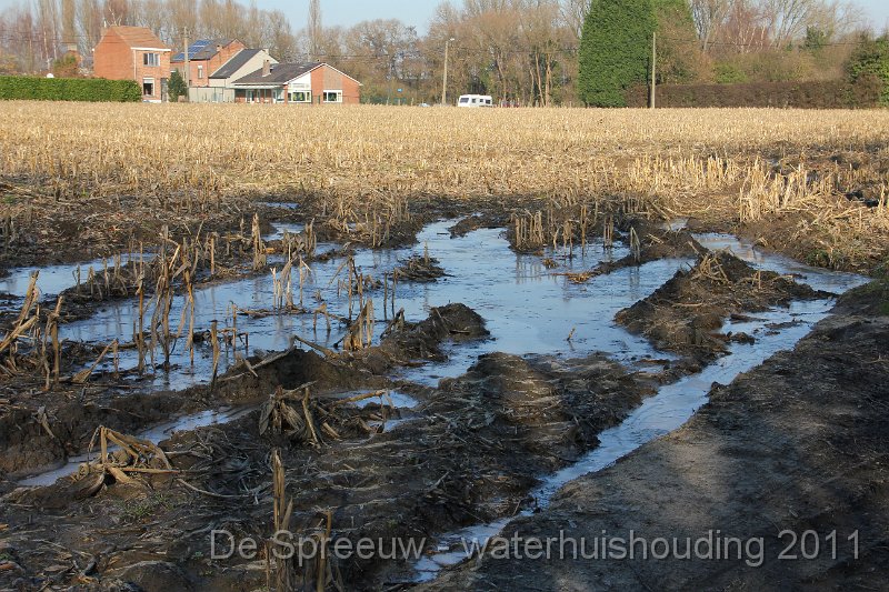 IMG_0718.JPG - Katwilgenberg (veld)