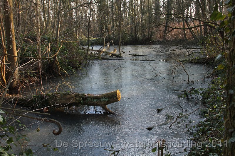 IMG_0722.JPG - Bufferbos (Buffermoeras)