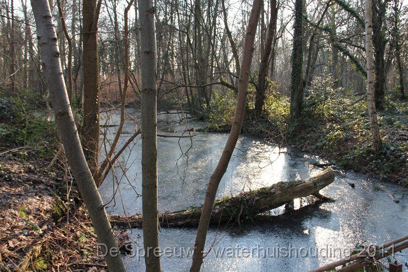 IMG_0724.JPG - Bufferbosbeek (Buffermoeras)