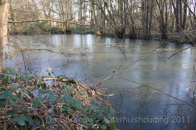 IMG_0725.JPG - Bufferbosbeek (Buffermoeras)