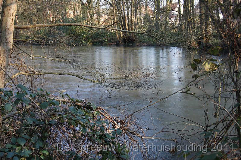 IMG_0728.JPG - Bufferbos (Buffermoeras)